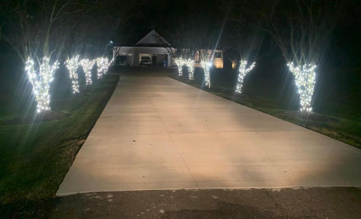 Driveway lined with trees wrapped in white lights